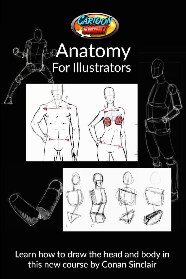 Anatomy for Illustrators Video Tutorials