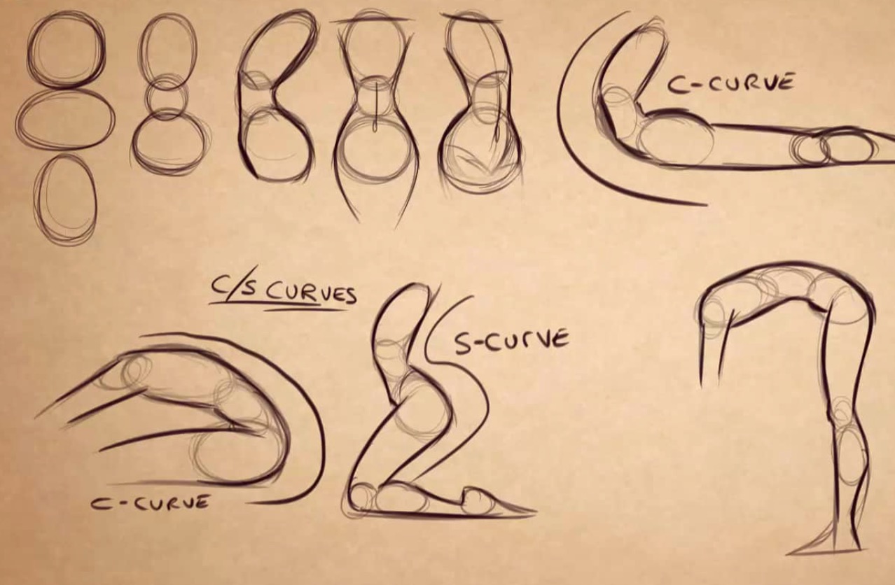 How to Draw Video Tutorials with Cherry session 4